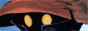 Final Fantasy IX Info